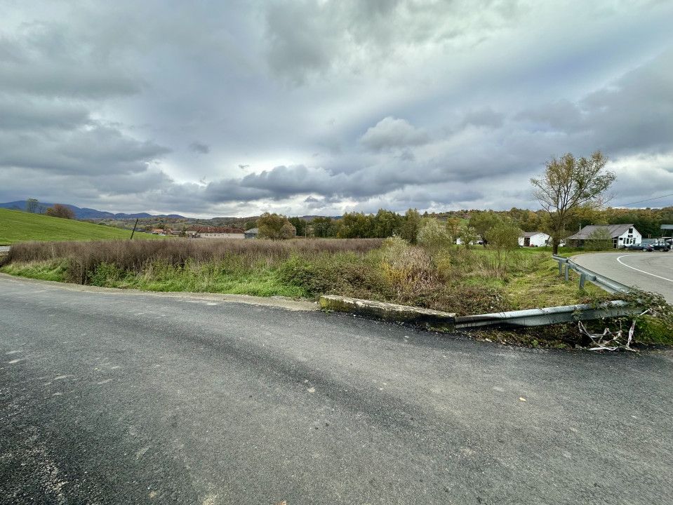 Teren intravilan 3.749 mp – Beznea, com. Bratca, jud. Bihor – fotografia 3 din 4