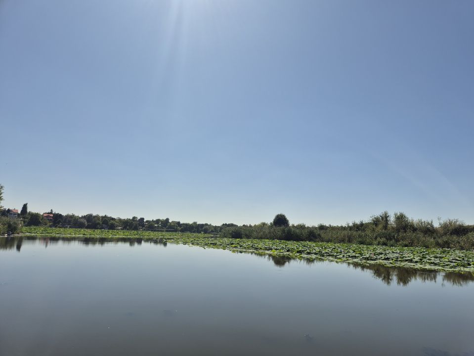 Izvorani - Teren cu deschidere generoasă la lacul Snagov – fotografia 9 din 9