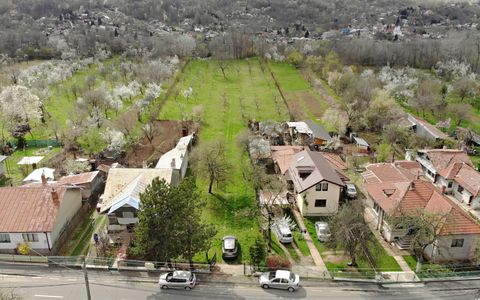 4898 MP Teren Intravilan | Prahova - Cornu De Jos | Toate Utilitatile Prezente