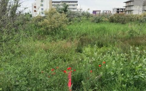 Teren Mamaia Nord | Club Nautic | Ideal pentru Investiție, aproape de Promenada