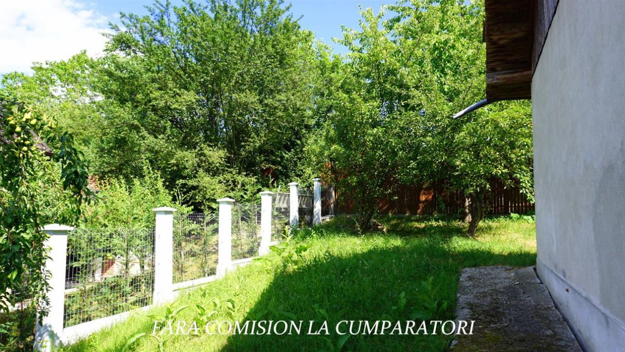 ANL- MORILOR TEREN 635 MP – fotografia 7 din 16