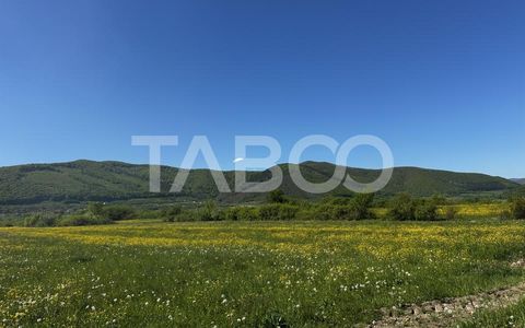 Teren intravilan cu vedere la munti pretabil cabana Poplaca