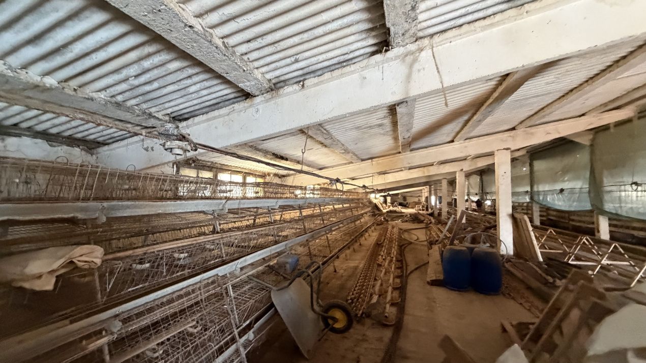 🏭 Hala industrială de vânzare în Beclean, Bistrița-Năsăud – 770 mp teren + cons – fotografia 3 din 6