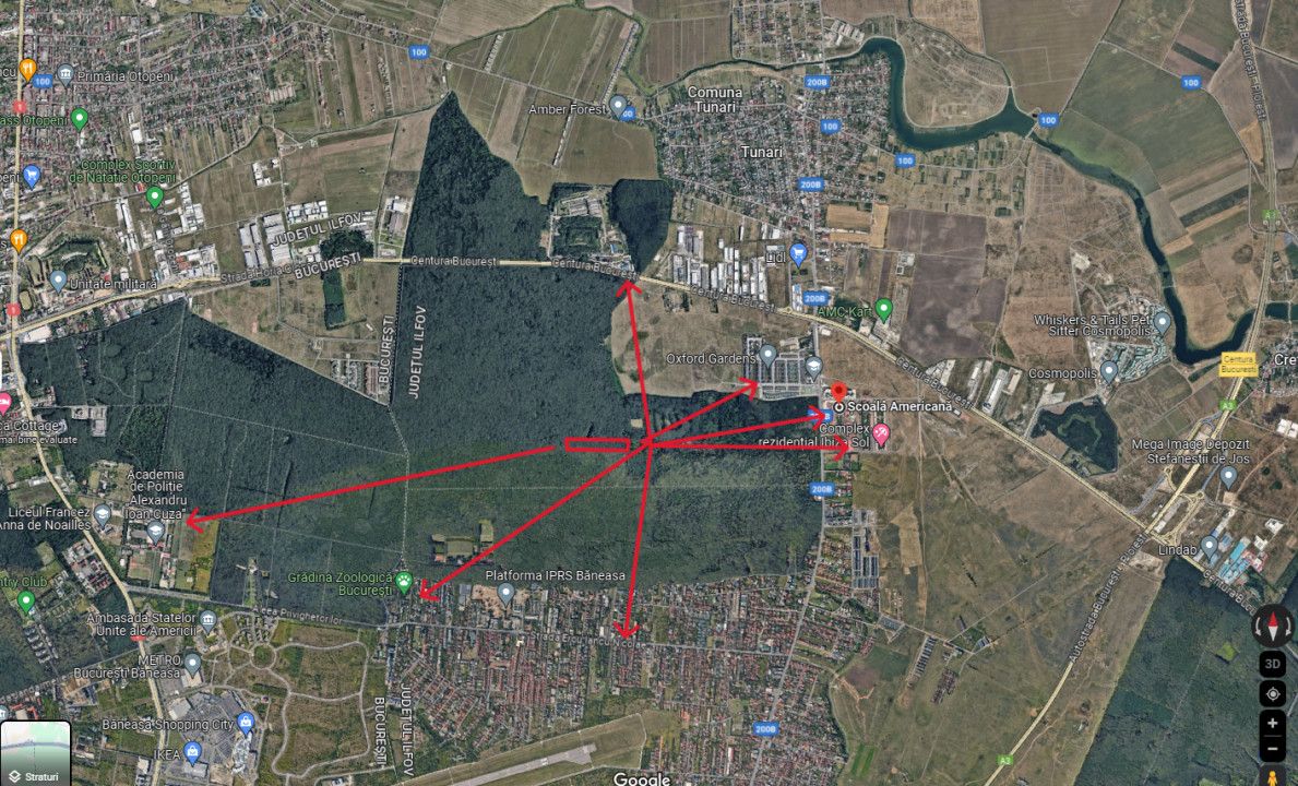 Pădure 20.000mp langa Scoala Americana - Cel mai mic pret – fotografia 3 din 5