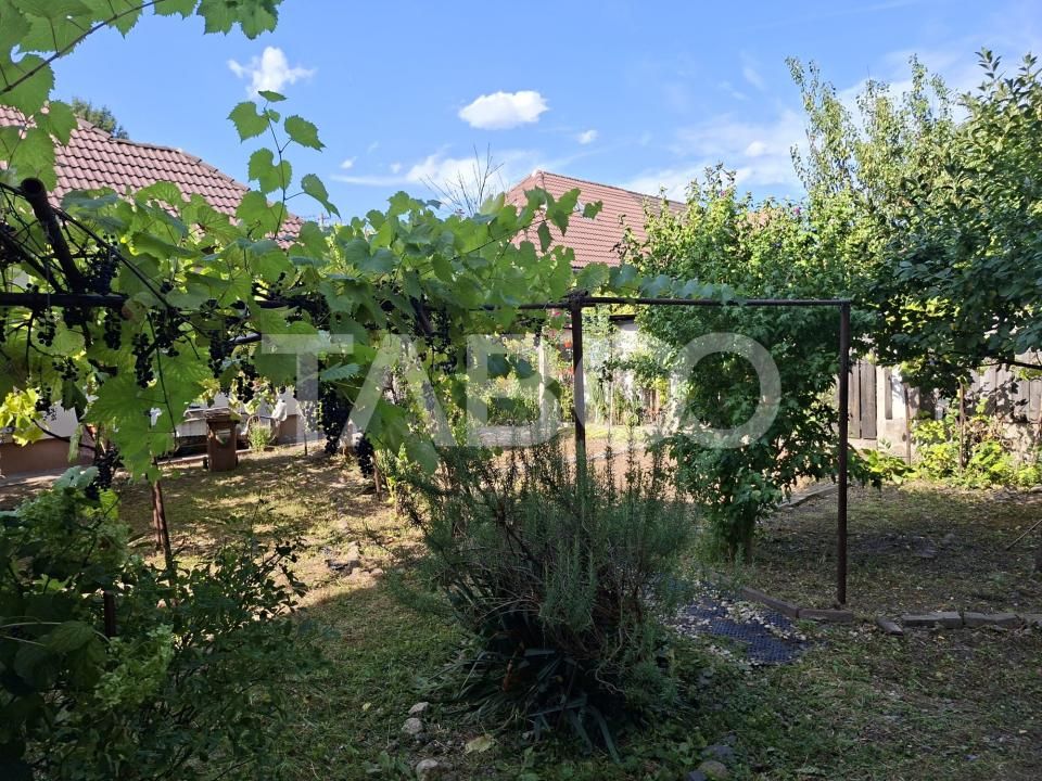 Casa cu 2 camere decomandate 335 mp teren in zona Parcul Tineretului – fotografia 1 din 14