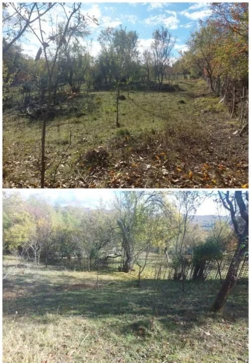 De vânzare 2 terenuri, com. Berevoiești, sat Ungureni, 3500mp, 8eur m2 – fotografia 7 din 8