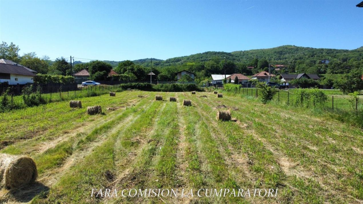 TEREN 1895 MP COPACELU - DESCHIDERE LA DN67 – fotografia 6 din 15