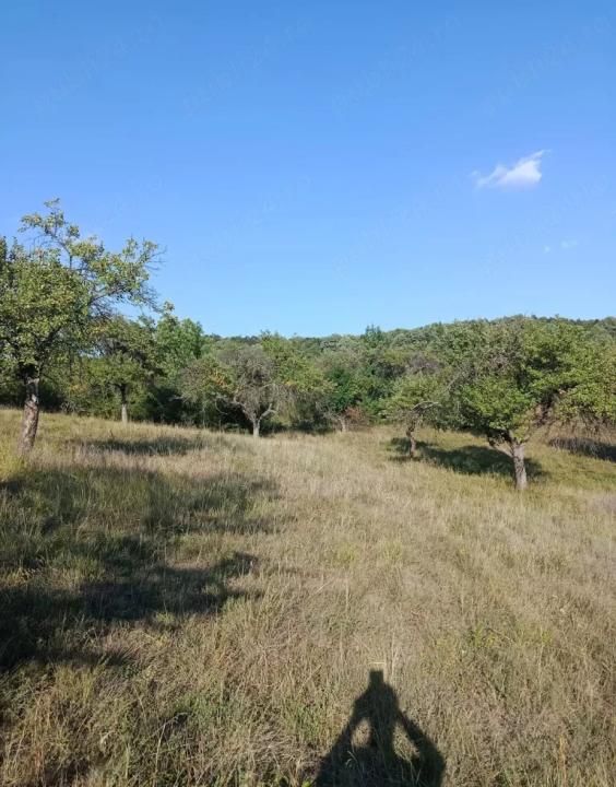 Teren extravilan de vânzare Tigveni | 4.944 mp | Panoramă superbă – fotografia 4 din 6