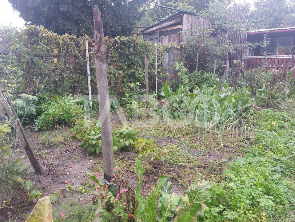 Casa in zona centrala 5 camere 2 bucatarii 3 bai curte comuna Cisnadie – fotografia 28 din 28