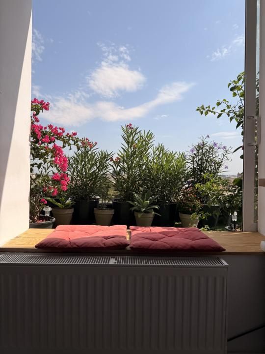 Apartament 1 camera, decomandat, 35 mp utili, etaj 8 - Complexul Studentesc – fotografia 9 din 9