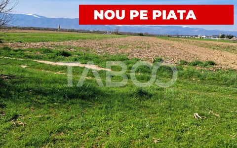 Oportunitate INVESTITIE Teren de vanzare 4166 mp ACCES FACIL SELIMBAR