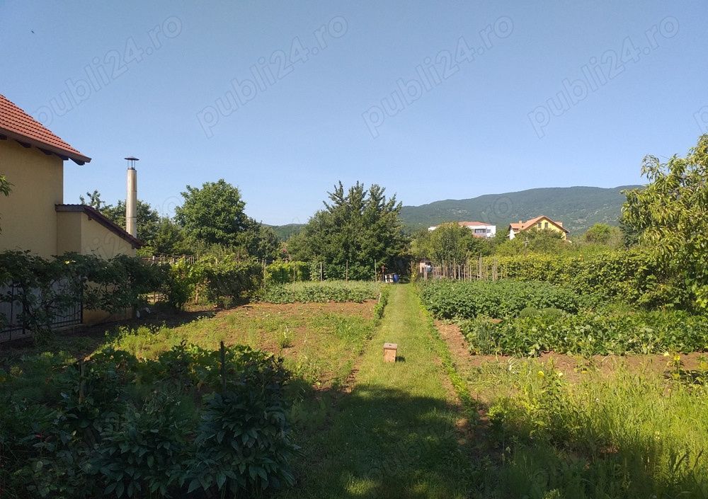 Teren Intravilan Vanzare 1400 mp. Alba Micesti deschidere 16m. Toate Utilitatile – fotografia 4 din 6