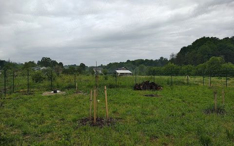 Teren intravilan de vânzare – Valea lui Enache, Baiculești, Argeș | 500 mp