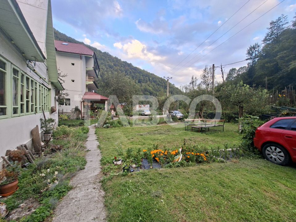Spatiu de vanzare in Valea Macesului judel Valcea iesire la Lotru – fotografia 44 din 49