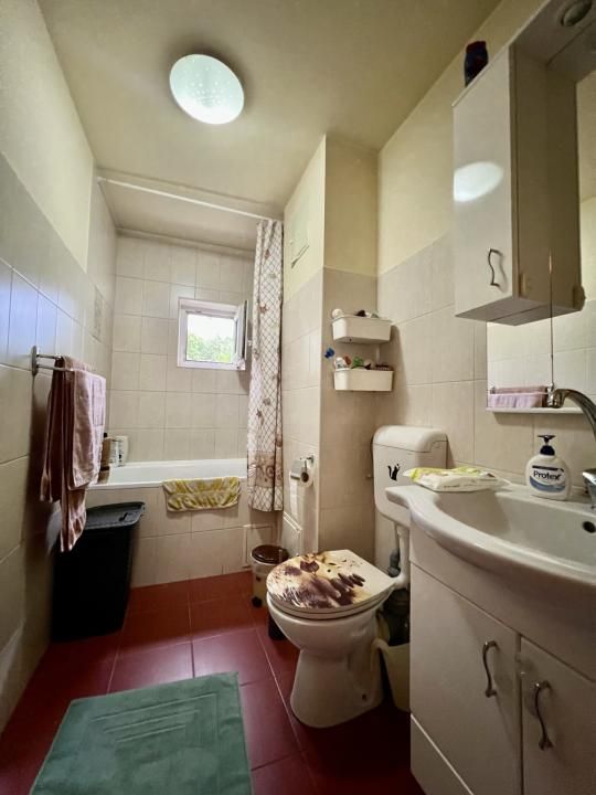 Apartement 2 camere, parter, 50mp utili - zona Sagului – fotografia 9 din 10