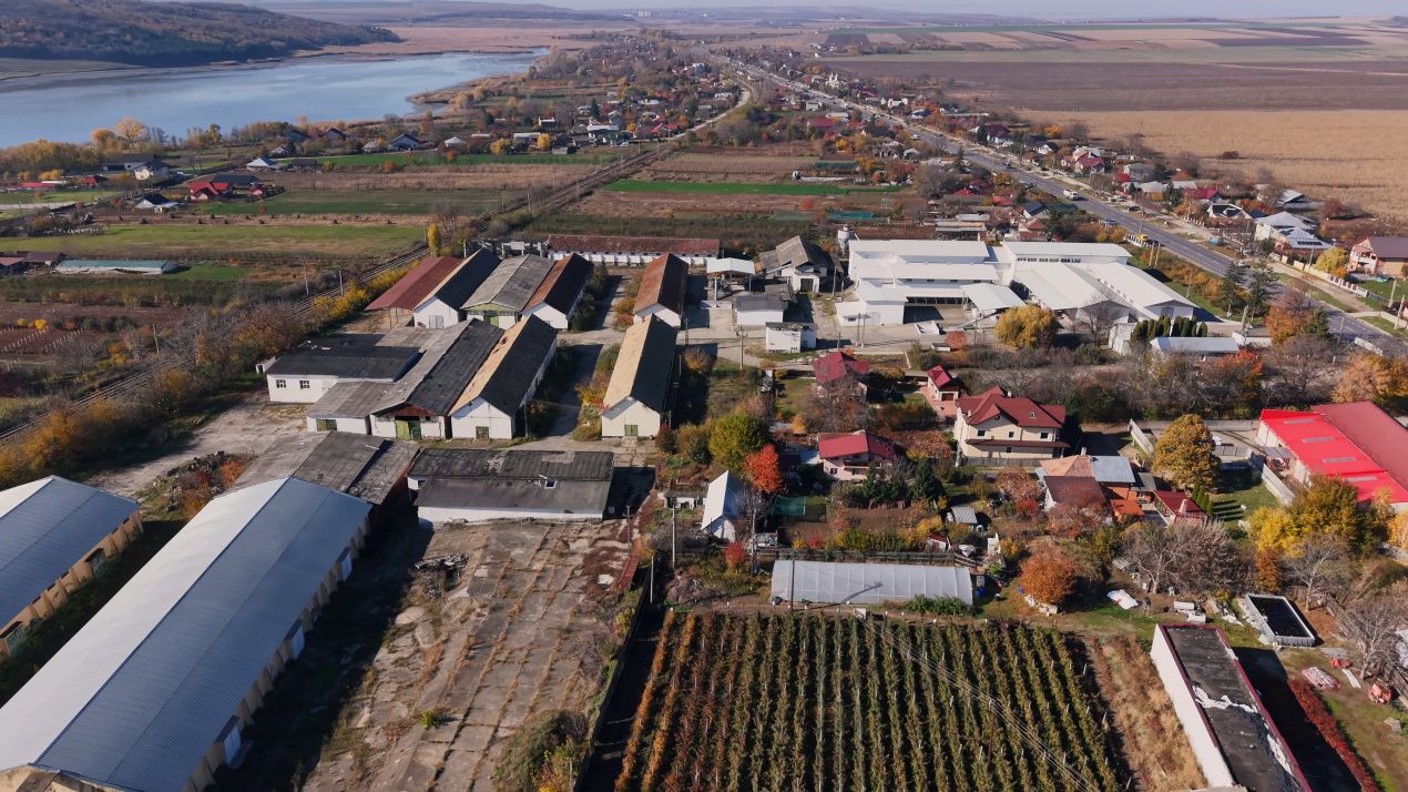 Complex Agroindustrial – Stație Uscare | Condiționare | Depozitare Seminte – fotografia 5 din 31