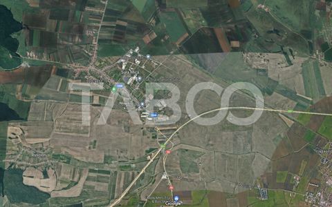 Teren extravilan de vanzare 25920 mp in Sura Mica Sibiu