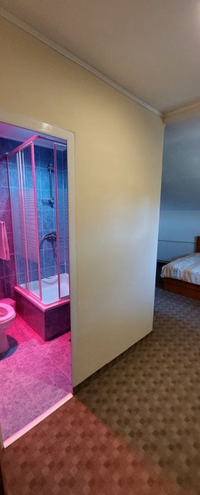 Pensiune 9 camere în Valea Mare Bratia, com. Balilești, jud. Argeș – fotografia 7 din 9