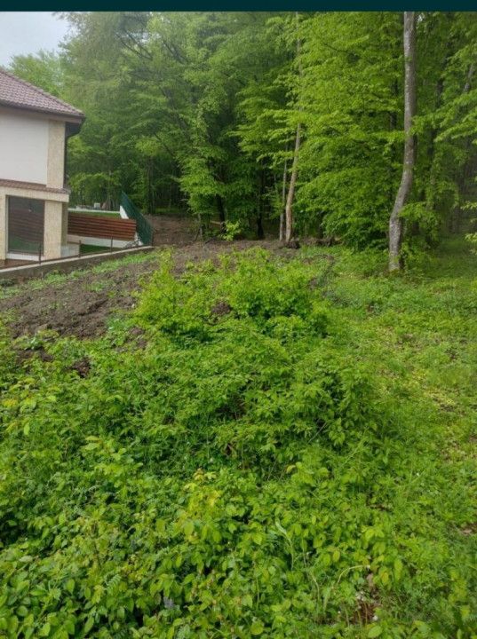 Teren intravilan 500 mp pretabil pentru constructie casa/duplex, Floresti! – fotografia 1 din 3