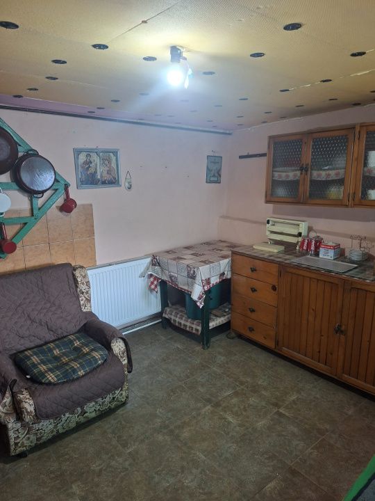 Casă în Cricău cu 1.375 mp teren, anexe, utilități, vie și livadă - Oportunitate – fotografia 49 din 54