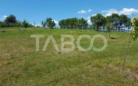 Teren 1974 mp intravilan de vanzare in Loman judetul Alba