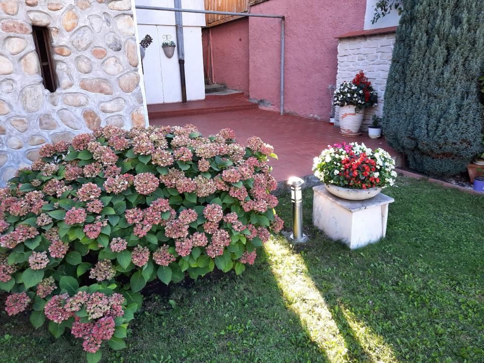 Apartament 4 camere în casă tip elvetian, cu teren propriu, garaj și grădină – fotografia 24 din 31
