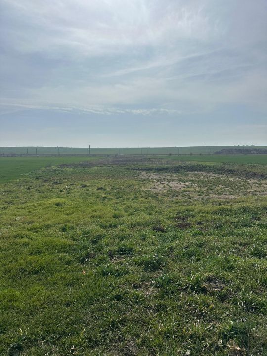 Teren intravilan 10.000 mp | DN | in Zona Volvo - Hala Neagră – fotografia 9 din 10