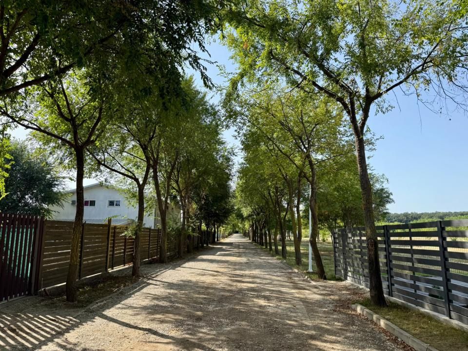 Vilă mediteraneană lângă pădure – fotografia 18 din 18