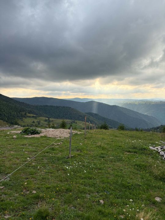 Exclusivitate!Com0%!Teren extravilan Măguri Răcatau 4233mp pt cabana investiție – fotografia 4 din 6
