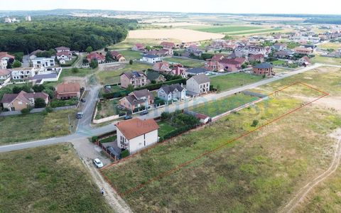 Teren intravilan de vanzare, zona Beverly Hills, Sanmartin