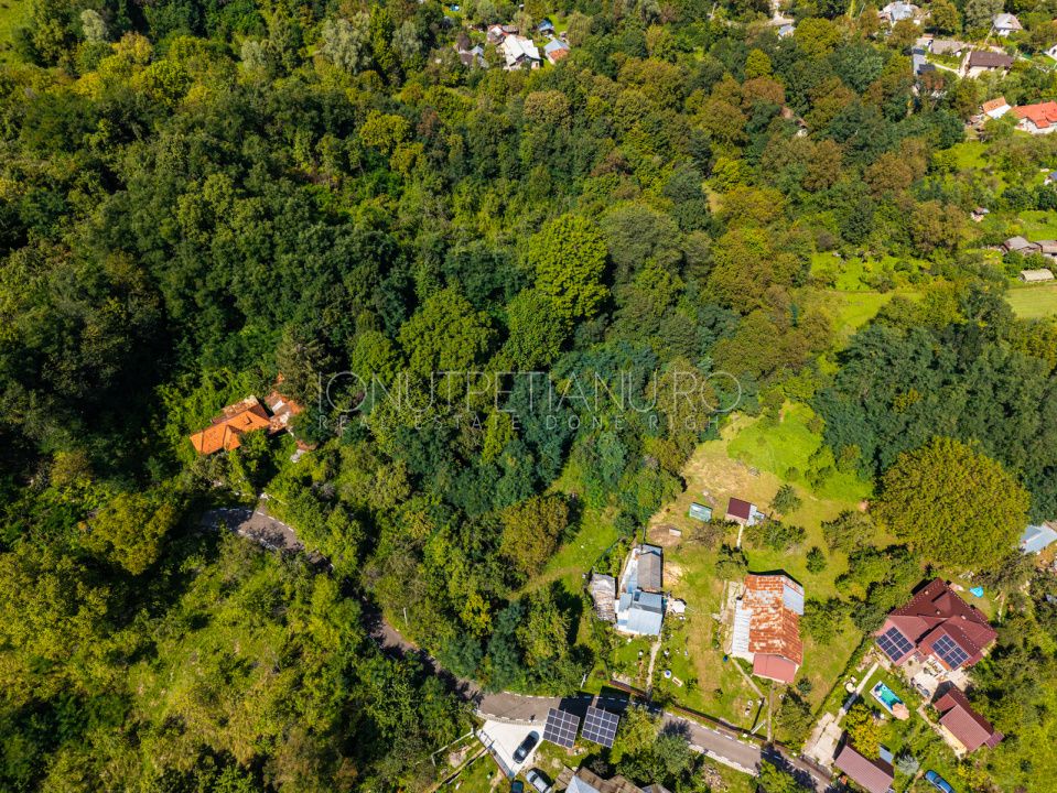 Teren 3.886 mp, Breaza - Podu Vadului, 30 m deschidere la asfalt – fotografia 15 din 16