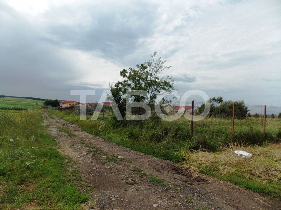 Teren de vanzare 10000 mp CF 107274 deschidere de 42 m in Sura Mica – fotografia 4 din 8