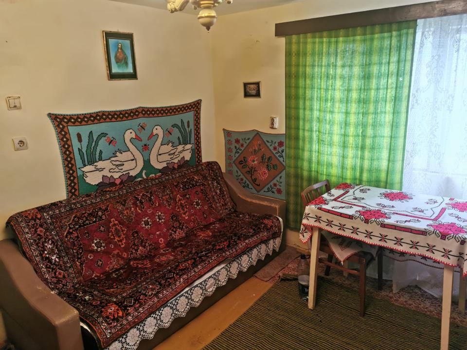Casa individuala 100mp cu teren 8000mp – fotografia 19 din 21