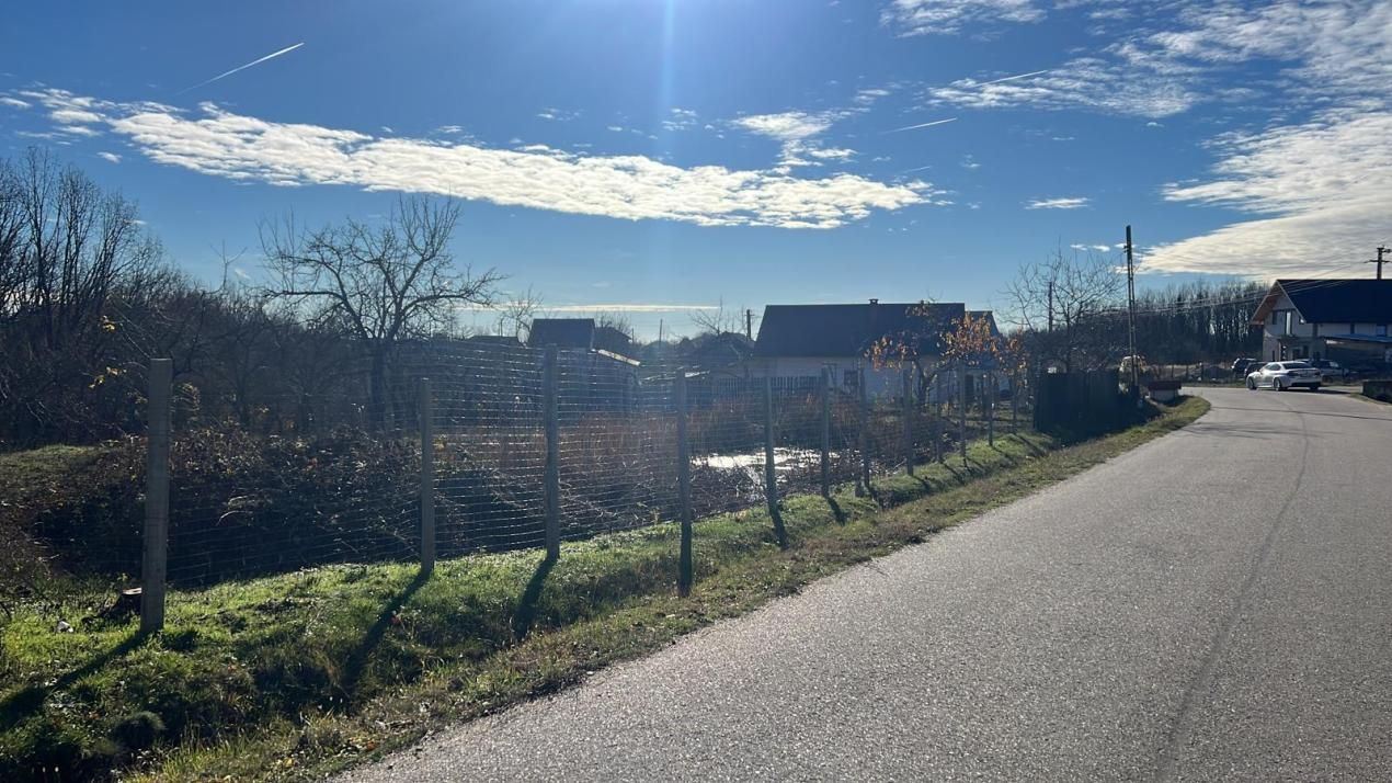 Refugiu la țară: casă cu 2 camere și teren de aproape 4.000 mp, Cocu – fotografia 3 din 5