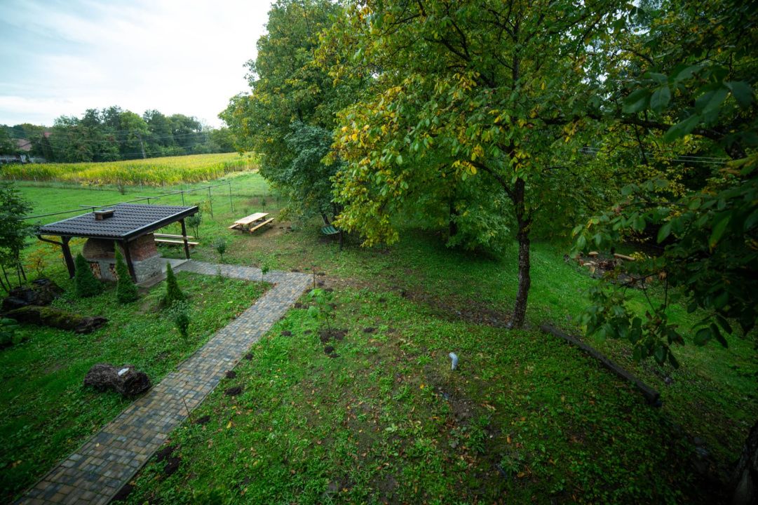 Cabane de vânzare Reghin Deda - Bistra Mureșului – fotografia 29 din 44