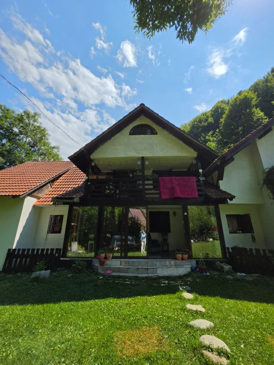 🏡 PROPRIETATE EXTRAORDINARĂ– LOTRIOARA, JUDEȚUL SIBIU! 🌲 – fotografia 70 din 72