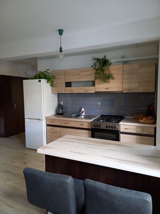 Închiriere apartament mobilat, 2 camere, Grigorescu/Donath – fotografia 2 din 9