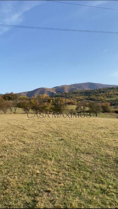 O oportunitate care îți atinge sufletul: Teren de vis la ieșirea din Rășinari – fotografia 4 din 9