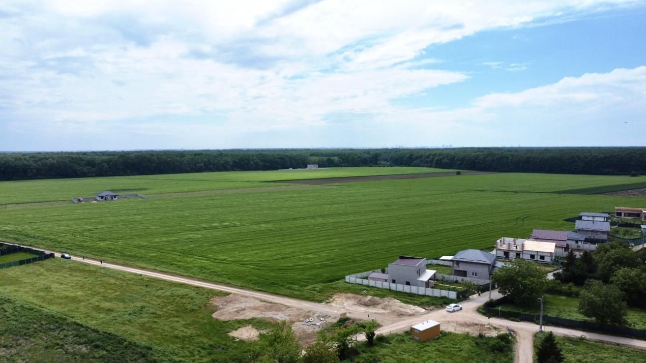 ✨OPORTUNITATE INVESTIȚIE:Teren intravilan 25.000mp Dascălu-Pădure, parcelabil✨ – fotografia 8 din 14