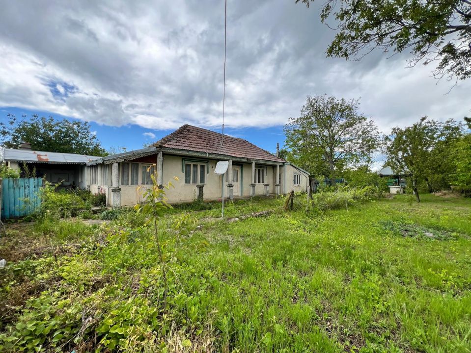 Casă + teren 4430 mp, vie și pomi fructiferi, 22 km de Tecuci – fotografia 30 din 36