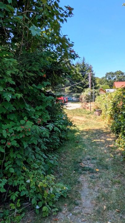Teren intravilan Tocile, 1.093 mp / livadă, cabană, rulotă și o toamna frumoasă! – fotografia 22 din 37