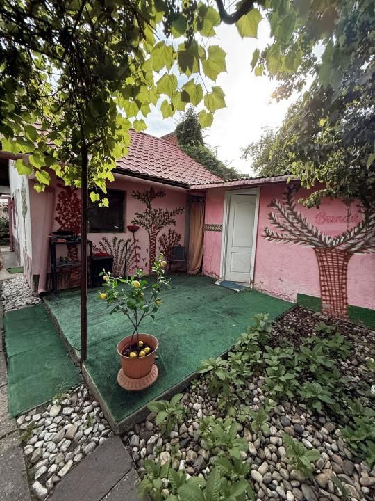 Casa 4 camere, 2 bai, 2 bucatarii, 130 mp utili, 902 mp teren  - Bogdanestilor – fotografia 2 din 6