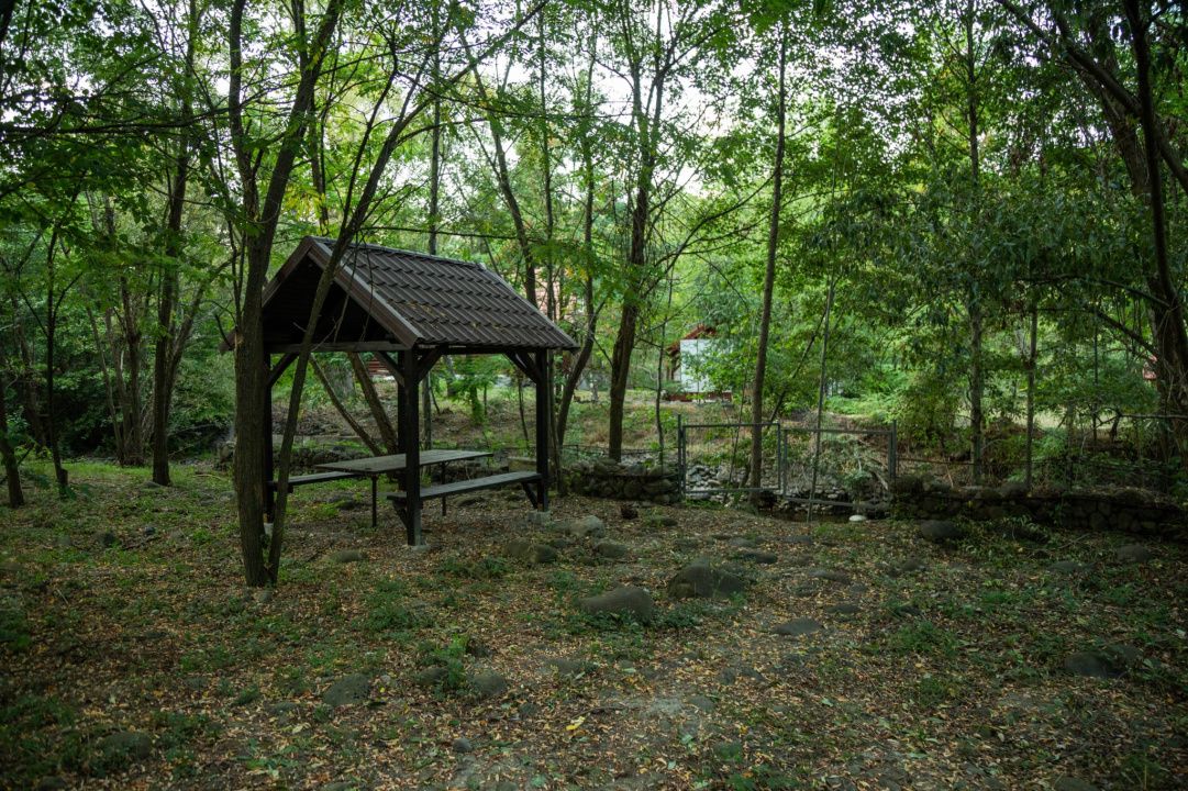 Cabane de vânzare Reghin Deda - Bistra Mureșului – fotografia 26 din 44