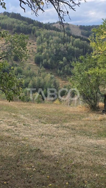Teren de vanzare 8.300 mp Plesi Loman judetul Alba – fotografia 4 din 10