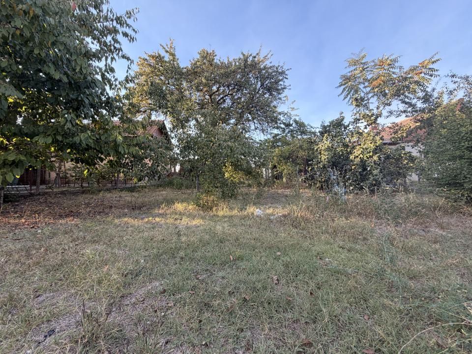 Casa individuala 110 mp utili, 1487 mp teren - Zona Blascovici – fotografia 16 din 17