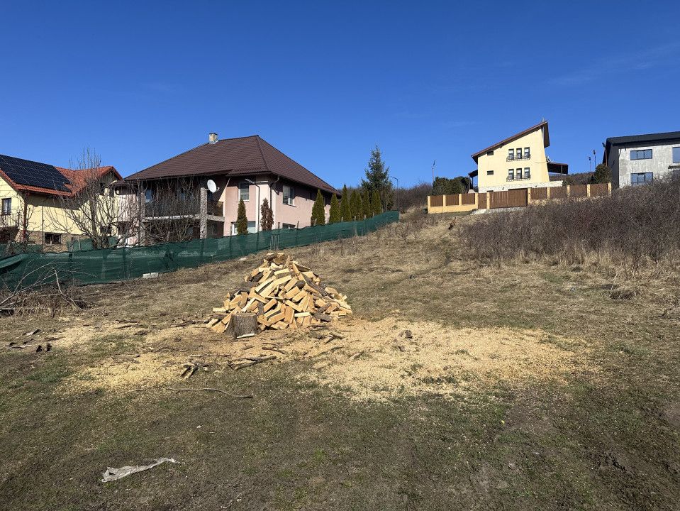 Teren pentru constructie Chinteni, zona Lacurilor front la 2 strazi – fotografia 5 din 7