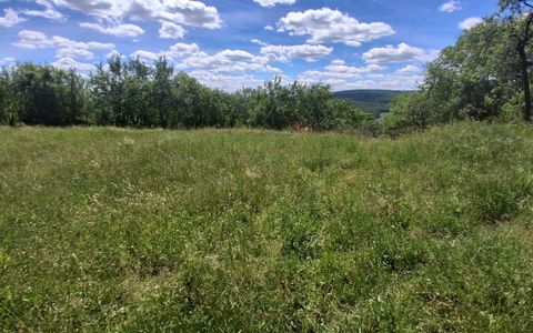 Ofertă de vânzare teren intravilan de 1033 mp., sat Popești
