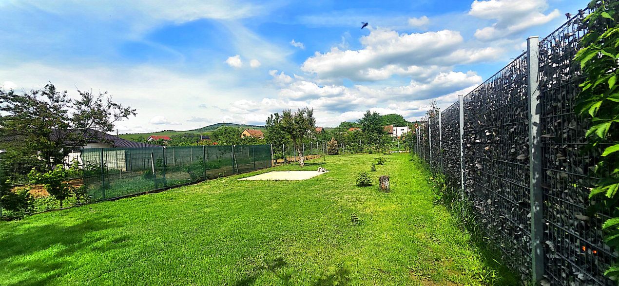 Casa in Minis – fotografia 17 din 24