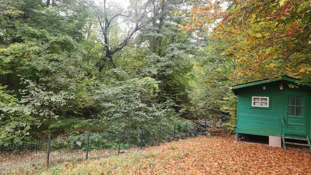 CASA DE VACANTA- VALEA AVRIGULUI-DE VANZARE – fotografia 3 din 9
