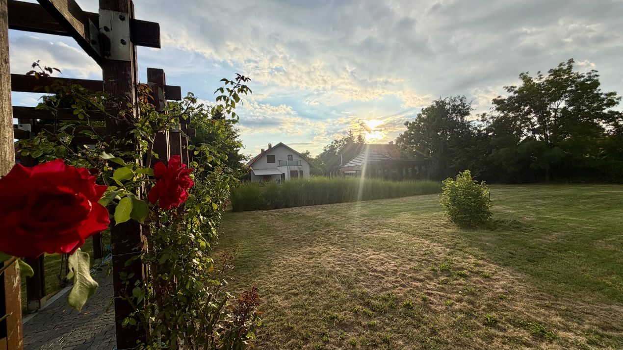Proprietate exclusivistă cu 7.000 mp teren, piscină și multiple spații adiacente – fotografia 31 din 34